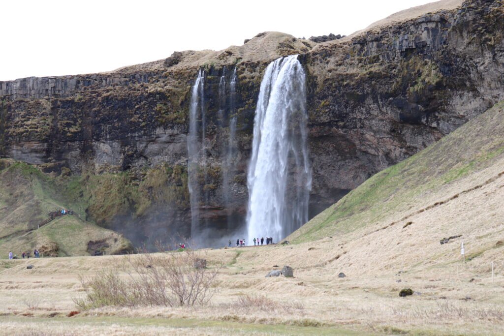 IMG 0195 1024x683