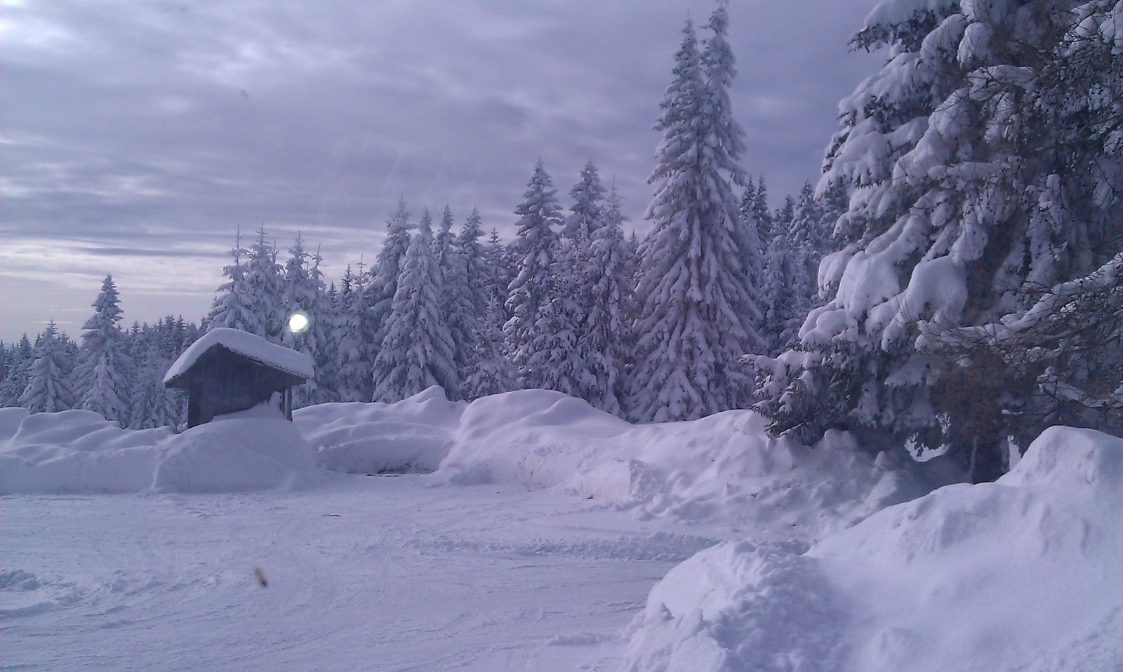 Kopaonik — planina za sva godišnja doba Kućica među zavejanim četinarima na Kopaoniku